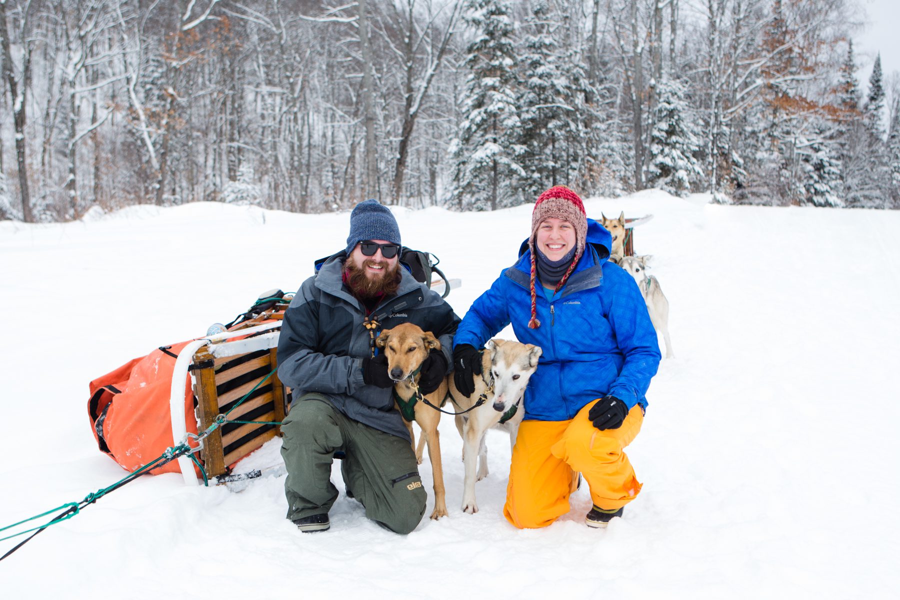 Chocpaw kennel clearance